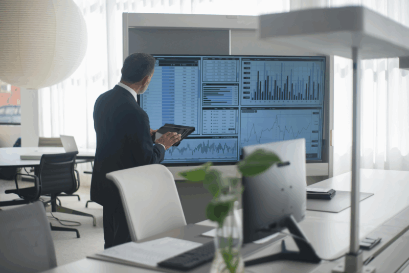 role of interim finance directors