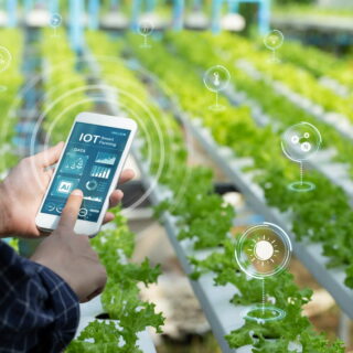Farming