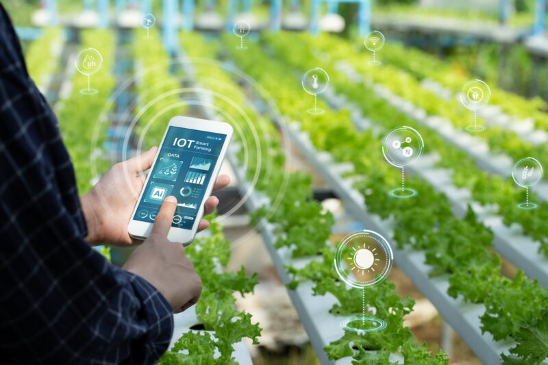 Farming