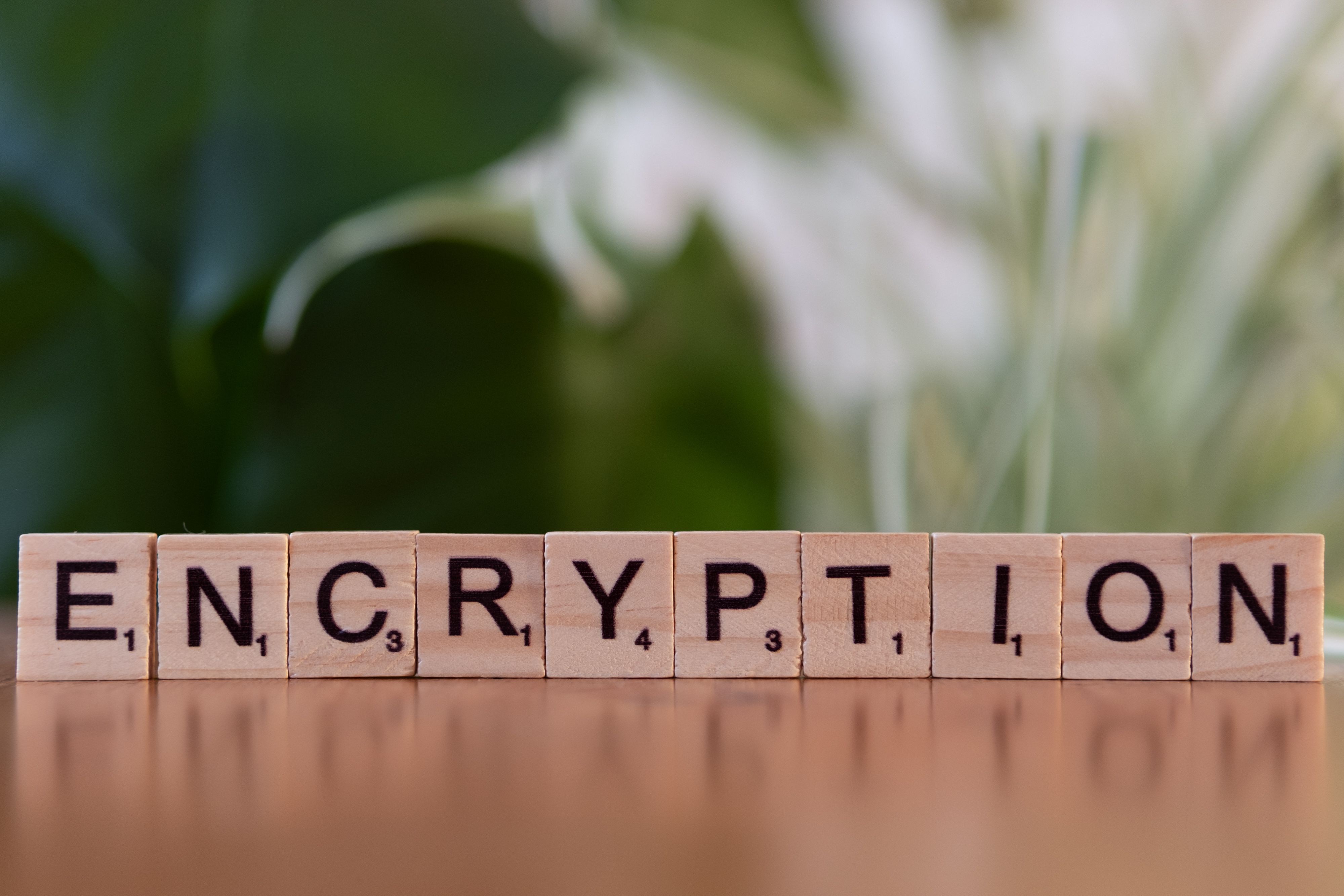 Wooden blocks spelling encryption beside a laptop, symbolizing privacy, security, and protection of customer trust.